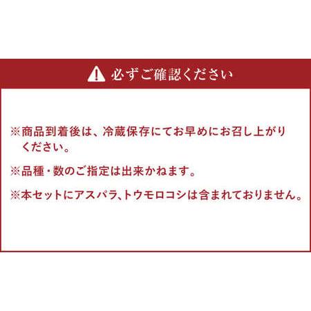 ふるさと納税 季節の野菜 詰め合わせ 10種類〜12種類程度 有機野菜セットA 北海道北広島市 北海道北広島市