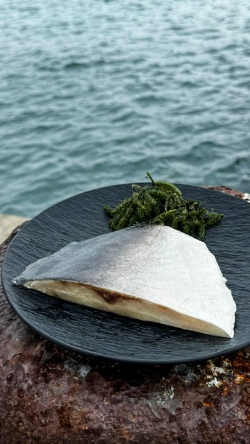黃金鯧魚排﹝冷凍﹞