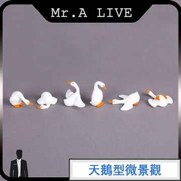 🔥【Mr.A Live】🔥仿真大白鵝 園藝造景 水族造景 桌上創意擺件 車載裝飾品 擺設 天鵝型微景觀 樹脂配件
