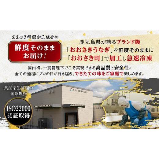 ふるさと納税 鹿児島県 大崎町 おおさきうなぎ（鹿児島県産うなぎきざみ）20袋セット