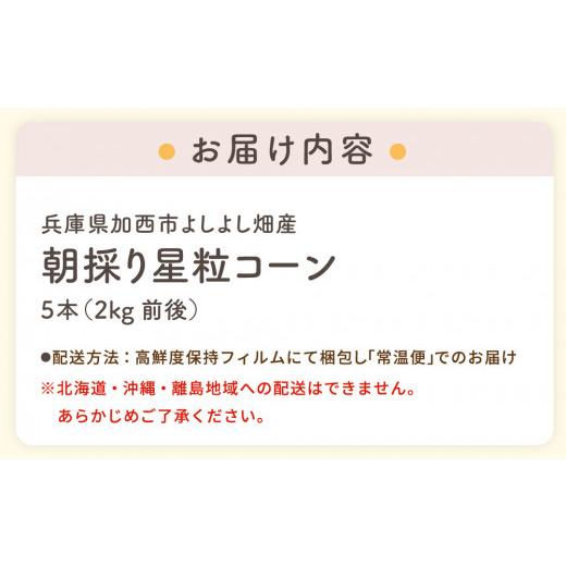 ふるさと納税 兵庫県 加西市 朝どり とうもろこし 5本（2kg前後）よしよし畑 農家直送 朝どれ 新鮮 兵庫県産 キャンプ BBQ アウトドア 小分…