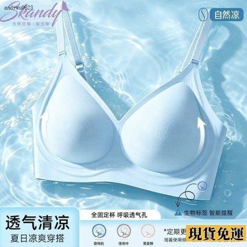 🌟全場免運🌟 【紫蘭蒂】冰絲涼感無痕內衣女提拉小胸聚攏防下垂收副乳固定杯 文胸 罩