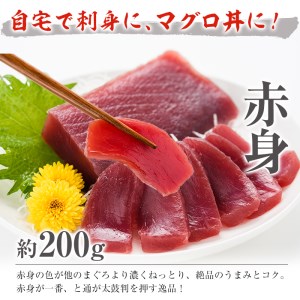 南マグロ味わいセット  南マグロ中トロ約200g 南マグロ赤身約200g