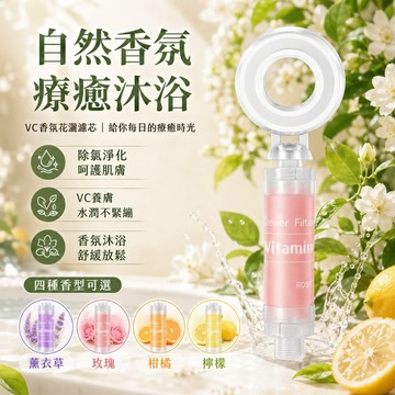 隔日到貨 特價下殺 蓮蓬頭 過濾蓬蓮頭 濾芯蓮蓬頭 濾心 濾芯 沐浴過濾器 香氛香薰除氯美膚增壓淨水噴頭洗澡過濾過濾器
