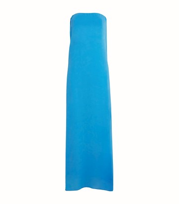 Christopher Esber Silk Strapless Maxi Dress