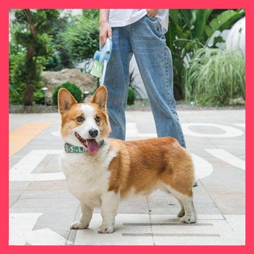 🌈愛寵✨寵物自動牽引繩 | 自動牽繩帶手電 | 伸縮牽繩 | 伸縮拉繩 | 寵物牽繩 | 牽引繩 | 牽狗繩子 | 遛