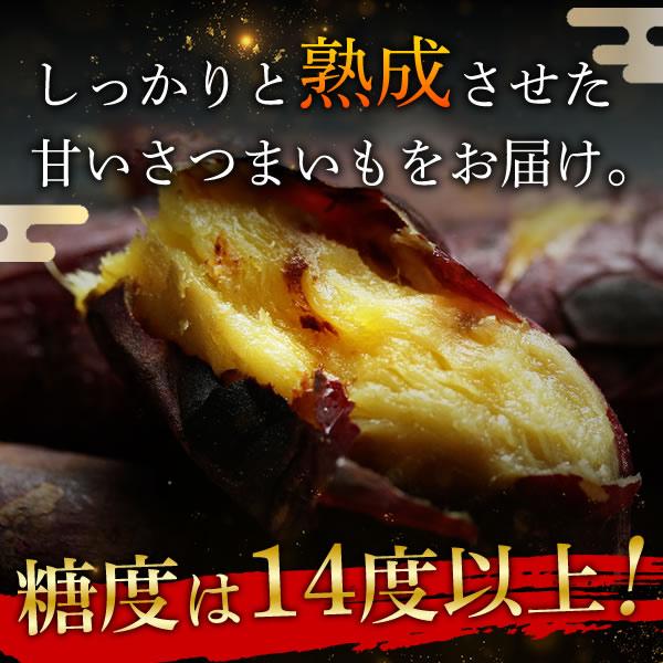 訳あり さつまいも 紅はるか 5kg 送料無料 サツマイモ さつま芋 千葉県産 国産