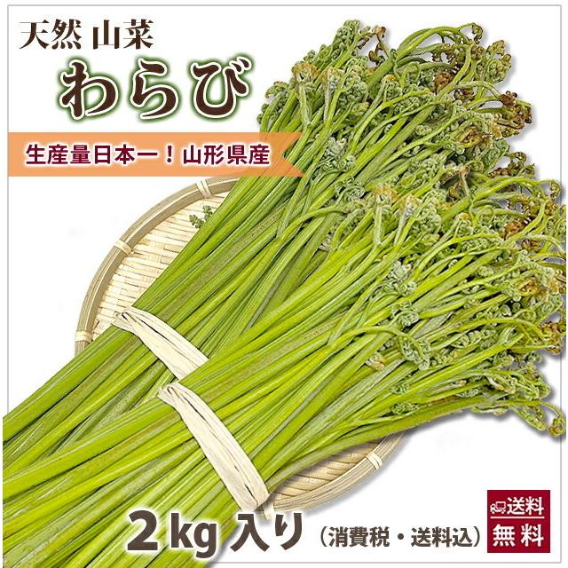 山形県産 山菜 天然わらび 蕨 2kg 送料無料 天然 村山市 山形 ワラビ ワラビの採れる場所 漢字 レシピ ぜんまい 栄養 農産物