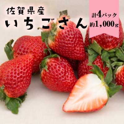 ふるさと納税 鳥栖市 佐賀産 いちごさん4パック(鳥栖市)