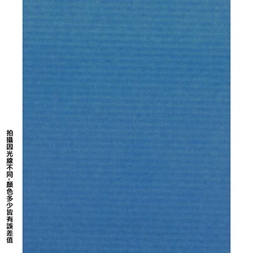 【文具通】四開粉彩紙18 P1330090