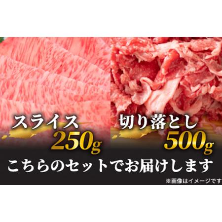 ふるさと納税 訳アリ！艶さし！佐賀牛しゃぶしゃぶすき焼き750gセット 牛肉 スライス 切り落とし「2022年 令和4年」 佐賀県唐津市