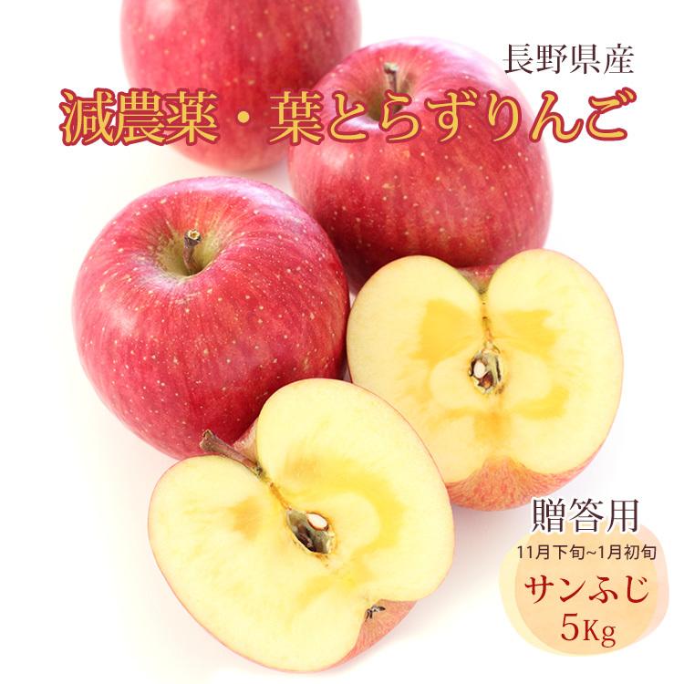 りんご 葉とらずりんご 贈答用 サンふじ 無袋ふじ 減農薬 5Kg 樹上完熟 長野県産 葉取らず 信州りんご リンゴ 林檎