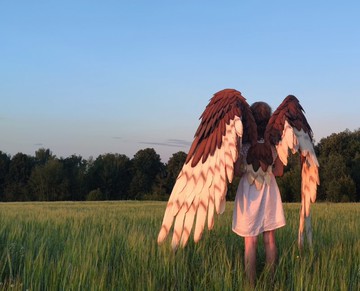 大型可彎折倉鴞、獵鷹、老鷹翅膀 Cosplay 服裝 / 大型鳥類翅膀