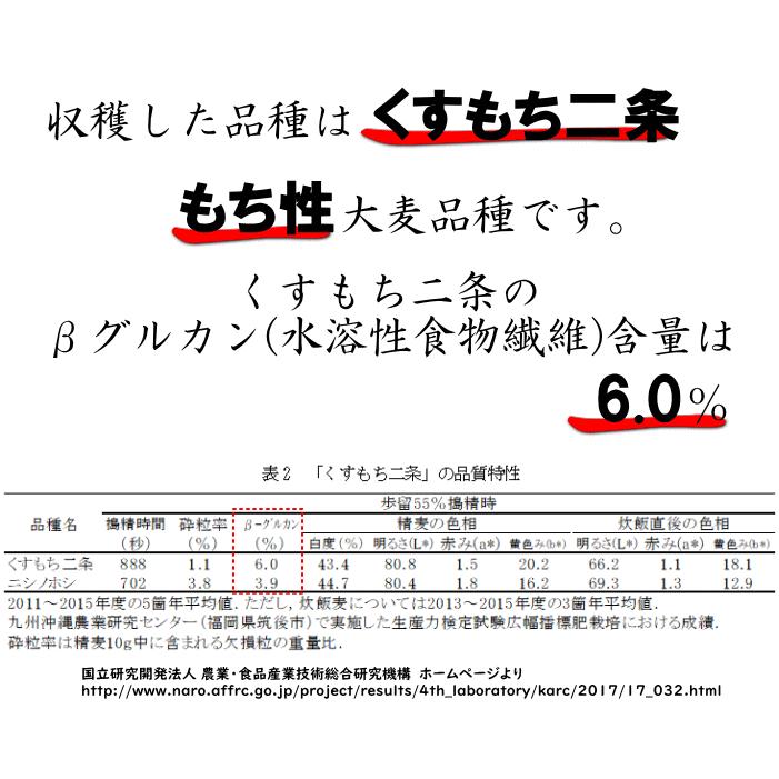 もち麦 450g ポスト投函専用 大麦 くすもち二条 無農薬 福岡県産 国産 1000円 ぽっきり ポイント消化