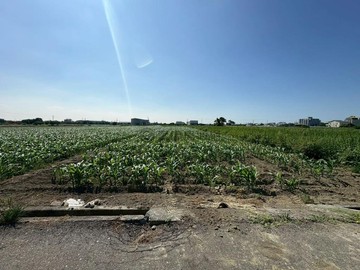 獨家~戀上安定約1.3分出入方便好規劃方正農地｜台南市安定區管寮