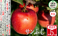 りんご サンふじ 家庭用 小玉 5kg 永野農園 沖縄県への配送不可 2023年12月中旬頃から2024年2月上旬頃まで順次発送予定 令和5年度収穫分 信州 果物 フルーツ リンゴ 林檎 長野 予約 農家直送 長野県 飯綱町 [0600]