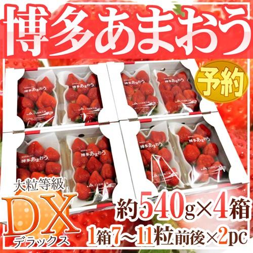 福岡産 博多 ”あまおういちご” 等級DX（デラックス） 4箱 8パック入り（1パック約270g） 送料無料