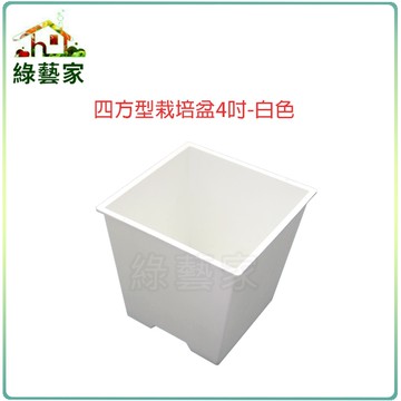 【綠藝家005-D111-WI】四方型栽培盆4吋-白色(厚)