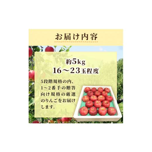 ふるさと納税 青森県 弘前市 4月発送 贈答用 EM葉取らずふじ 約5kg（有袋栽培・CA貯蔵）