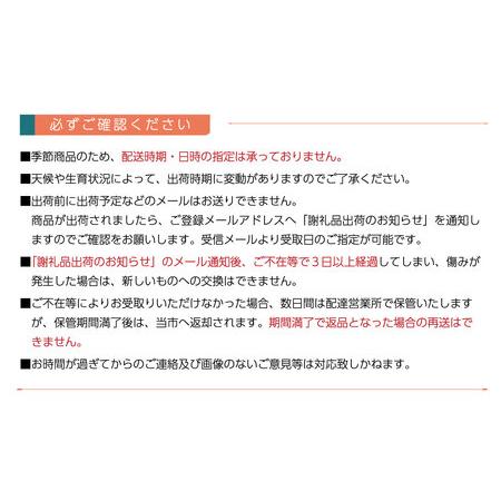 ふるさと納税 干し柿用渋柿 「愛媛県産あたご柿」 約10kg 西条市 やまちゃんふぁーむ 低農薬 除草剤不使用 干し柿 柿 愛媛県西条市