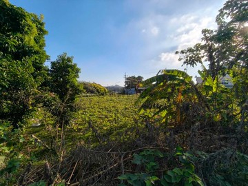 泰安特定農業區 農牧用地｜台中市后里區后安段