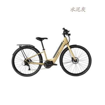 【DOSUN】電動輔助自行車 CTPRO 14吋水泥灰(車麗屋)