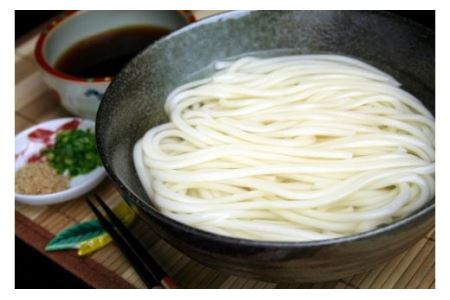 ふっくらモチモチ神埼生うどん 10袋入 (H014125)