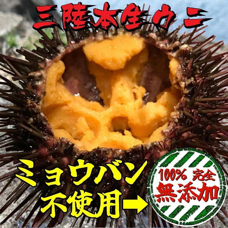 三陸産 本物生ウニ 320ｇ (80g×4p) 8人前 完全無添加 うに ウニ 雲丹