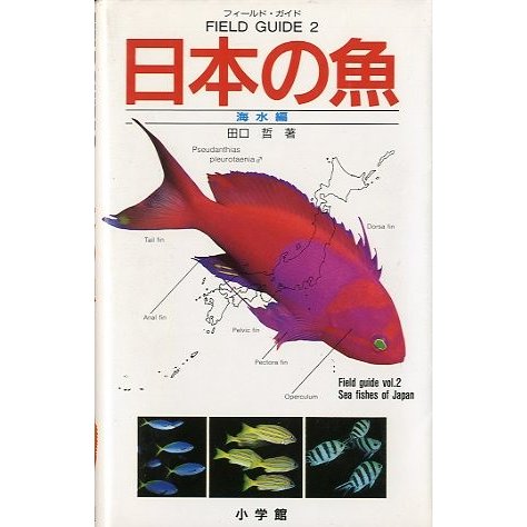日本の魚　海水編　＜送料込み＞