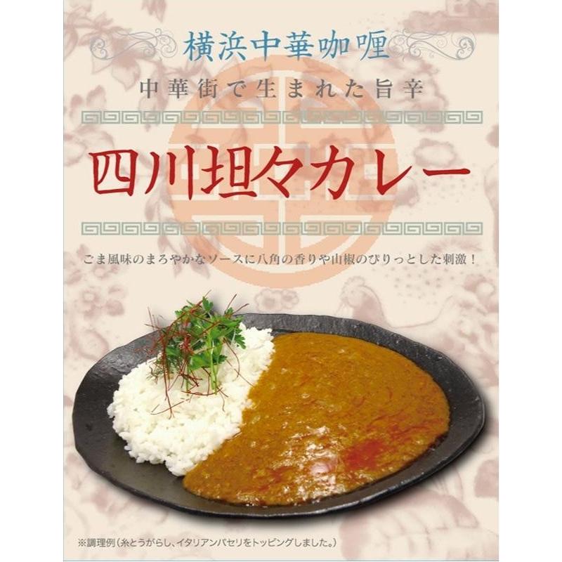 ご当地カレー 神奈川 横浜中華カレー 四川坦々カレー 10食セット(レトルト 中華 四川 料理 お取り寄せ グルメ レシピ 本格)