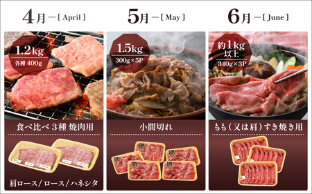 定期便 ≪12ヶ月連続お届け≫ 肉の定期便 肉好き満足！和牛 若狭牛ボリューム満点 厳選プレミアム 食べ比べ計14.6kg以上 [e02-r001]