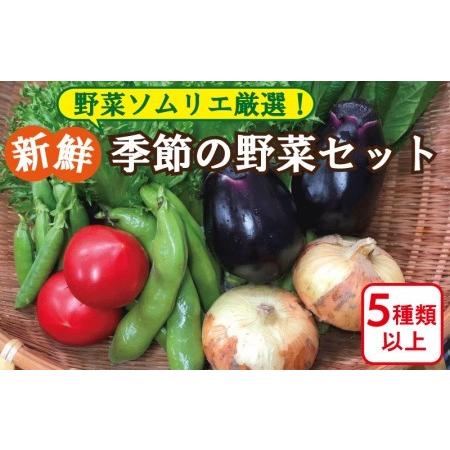 ふるさと納税 野菜ソムリエ厳選！季節の野菜セット 大阪府泉佐野市