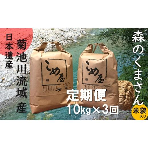 ふるさと納税 熊本県 玉名市  熊本県産 「森のくまさん」 10kg×3か月