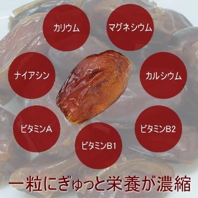 ドライフルーツ ドライ デーツ 1kg(500g×2) 種なし 無添加 砂糖不使用 ノンオイル おつまみ ギフト