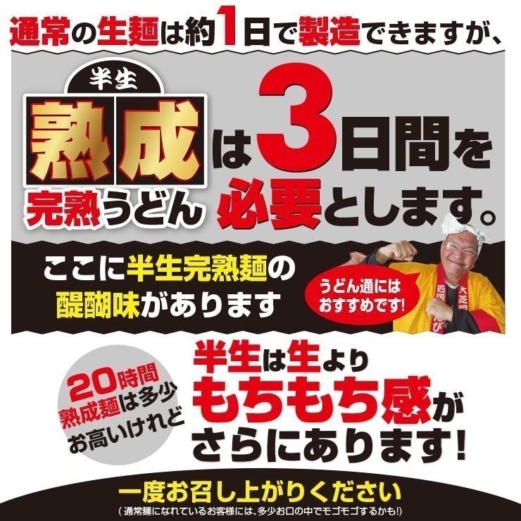 20時間熟成  半生 細麺 讃岐うどん つゆ付きセット 便利な個包装 750g 送料無料 最安値挑戦 得トクセール 特産品