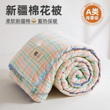 棉被A類母嬰級被子冬被加厚被子a類被芯春秋被單人宿舍