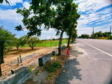 *佳里12米路旁方正農地｜台南市佳里區後庄