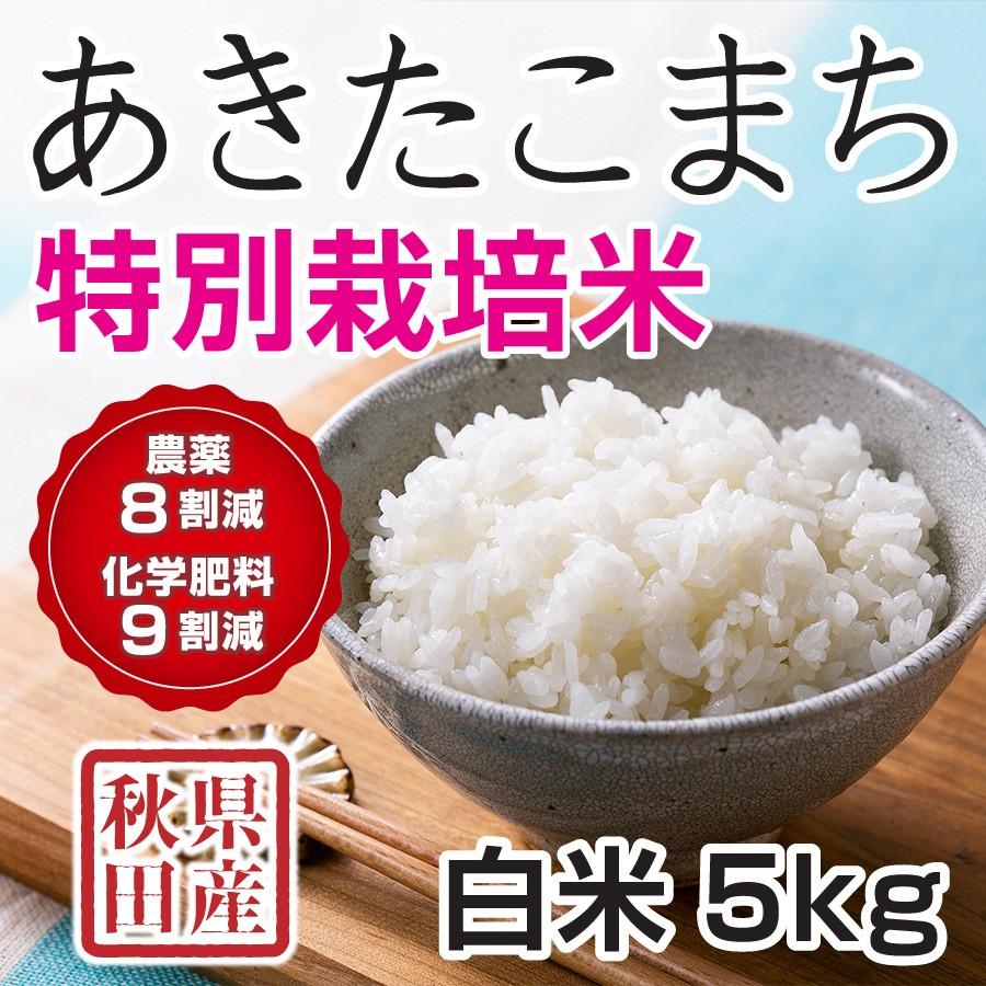 白米 令和5年産新米 秋田県産 あきたこまち 特別栽培米 5kg 農薬８割減 化学肥料９割減 慣行栽培比 農家直送