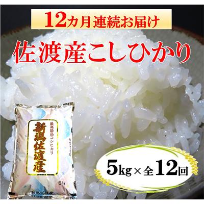 ふるさと納税 佐渡市 佐渡産こしひかり5kg　全12回