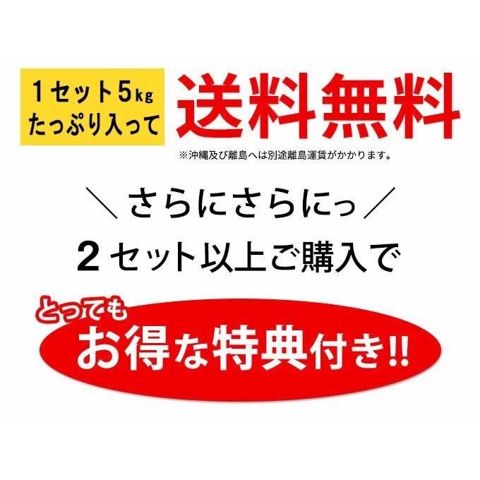 紅はるか 5kg入り 訳あり大小混合 送料無料 2セット以上のご購入で、新鮮野菜のおまけ（同一配送先に限ります)　焼き芋 に最適な 蜜芋 5営業日以内 発送可