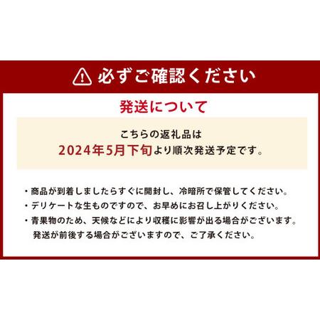 ふるさと納税  熊本県産 アールスメロン 2玉セット フルーツ 果物 くだもの メロン 熊本県熊本市