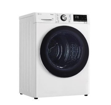 【LG 樂金】WR-100VW 10公斤 熱泵式蒸氣乾衣機-冰瓷白