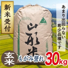 令和5年産山形県産もがみ誉れ30kg