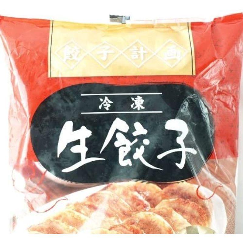 餃子計画 冷凍 生餃子 50個入×2袋 要冷凍 特製生ギョーザ