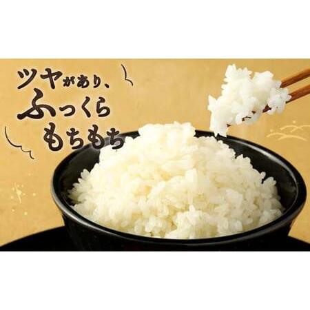 ふるさと納税 「筑後平野のふくよか米」 無洗米 14kg(5kg×2袋、2kg×2袋)×3回 合計42kg 福岡県大刀洗町