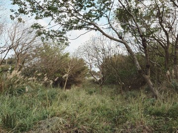 寶山鄉新竹科學園區之後山近台積電投資保護區開發案｜新竹縣寶山鄉大雅段