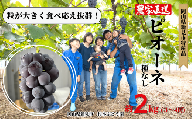 村本ぶどう園 ピオーネ 約2kg 3～4房 