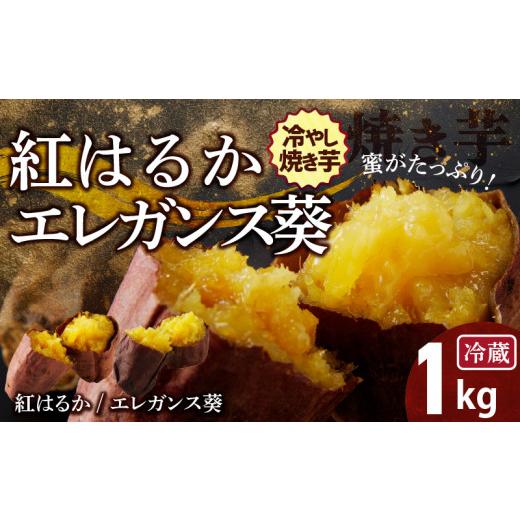 ふるさと納税 愛知県 碧南市 焼き芋 蜜たっぷり！冷やし焼き芋 ひえひえ君 食べ比べ 1kg エレガンス葵＆紅はるか 芋スイーツ　H047-032