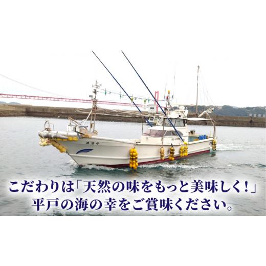 ふるさと納税 長崎県 平戸市 平戸市 鮮魚 3人前 詰め合わせ 計約1.35kg（450g／回） 百旬館 [KAK035]