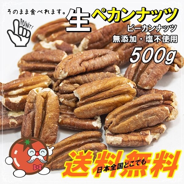 生ピーカンナッツ 500g 無添加無塩 栄養がそのまま生タイプ（そのまま食べれます）